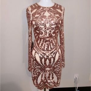 Sequin Mesh Midi Dress